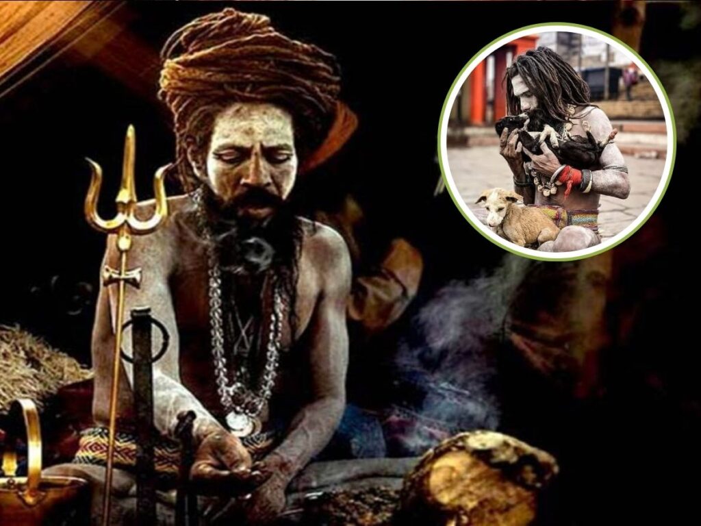 Inside Story of Aghori