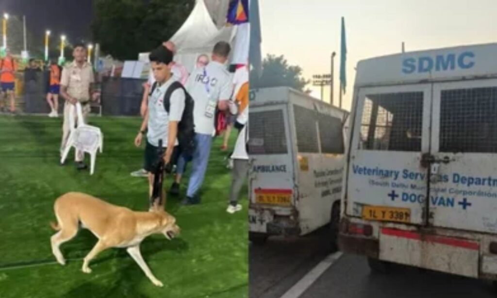 World Para Athletics Championships