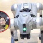 Galgotias University Robodog Controversy