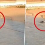 School Girl Heart Attack