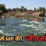 MP Narmada Crisis
