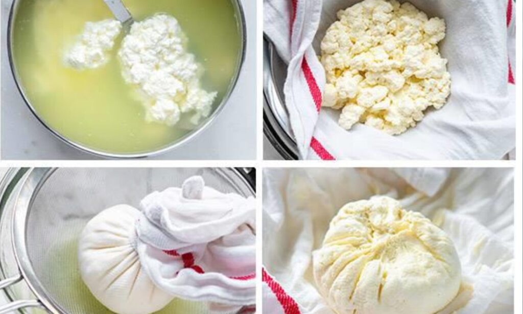 How to make Paneer