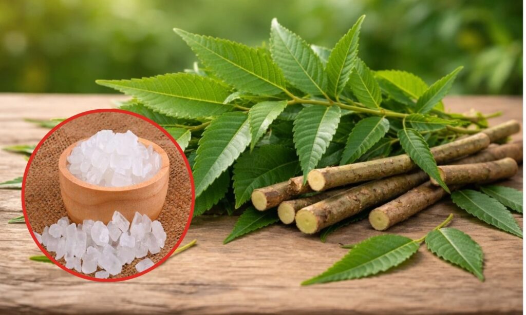 Eating Neem and Sugar Tradition Why