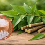 Eating Neem and Sugar Tradition Why