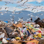 ADMAPURE GARBAGE POLLUTION