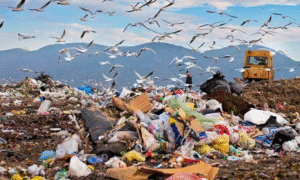 ADMAPURE GARBAGE POLLUTION