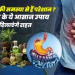 Pitta Control Ayurvedic Tips