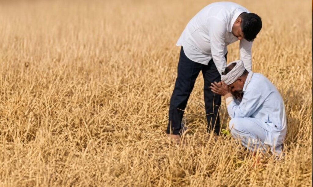 Crop Damage Compensation