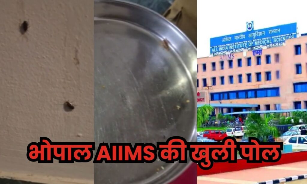 Bhopal AIIMS Cockroach Video