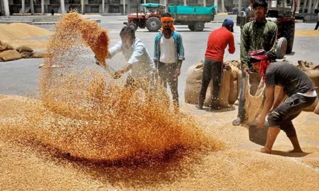 Wheat Procurement Slot Booking Date