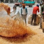 Wheat Procurement Slot Booking Date