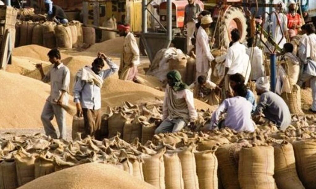 MP Wheat Procurement