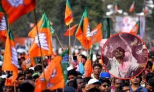 Gujarat Nikay Chunav Result