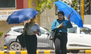 Mp weather today 