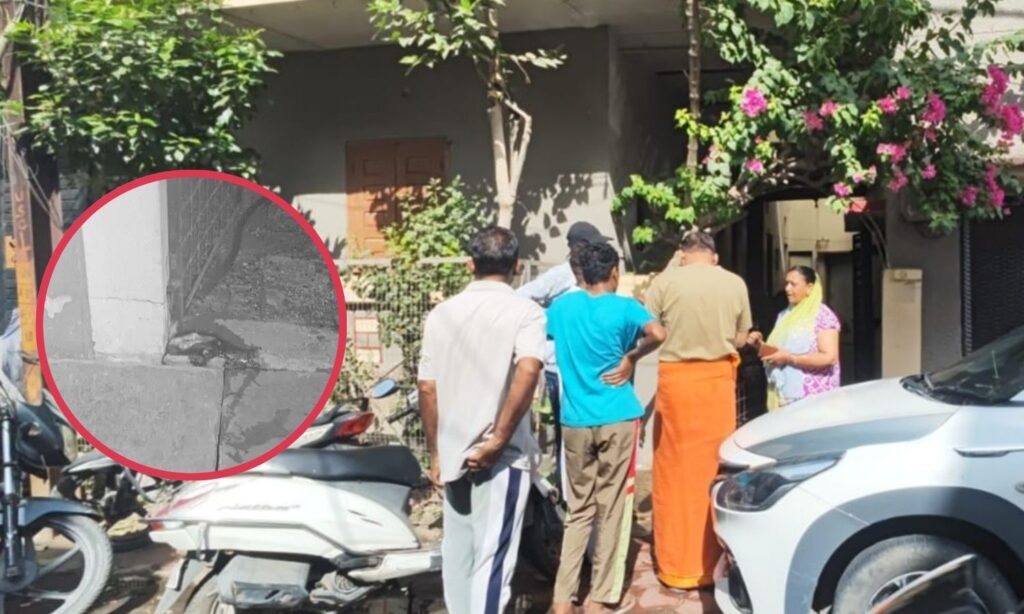 Ujjain Meat Throwing Incident