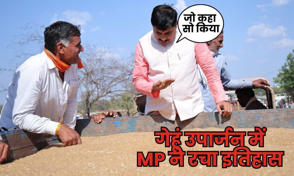 MP Wheat Procurement
