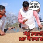 MP Wheat Procurement