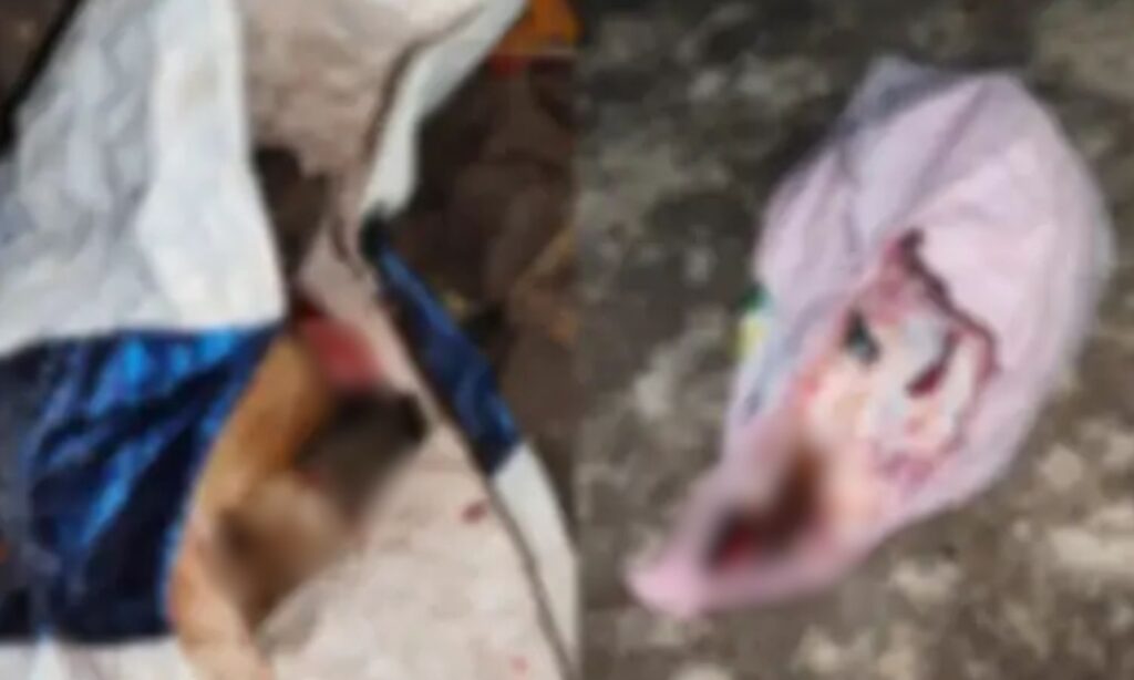 Khandwa Cattle Incident