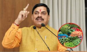 MP ranks third in the country for vegetable production