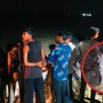 Ratlam Cow Head & Remains Found