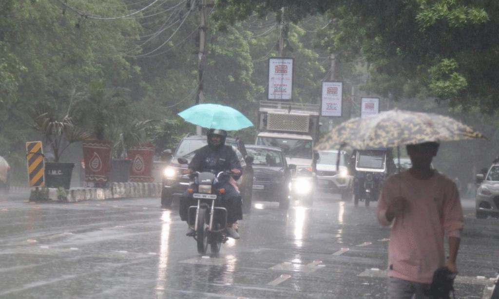 MP Weather